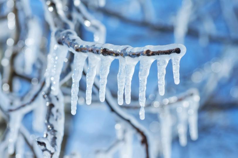 Inside the $71 million freeze on Arbitrum that has the crypto world questioning what decentralization really means Inside the $71 million freeze on Arbitrum that has the crypto world questioning what decentralization really means