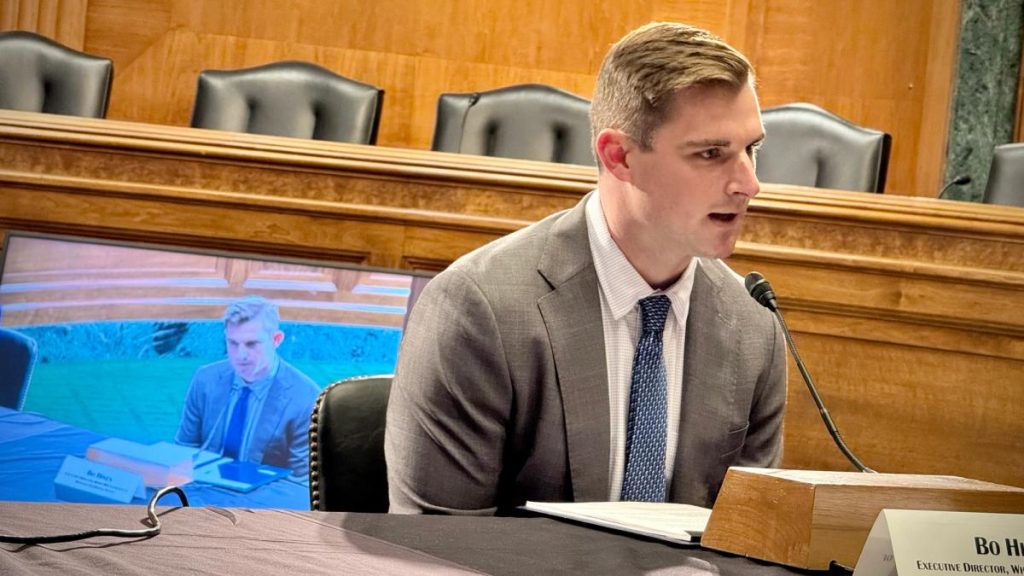 Senate’s top Democratic investigator looking into Tether payments to Bo Hines’ firm Senate's top Democratic investigator looking into Tether payments to Bo Hines' firm